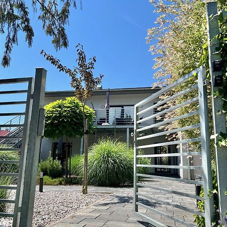 Apartmany Benesov Benesov nad Ploucnici エクステリア 写真