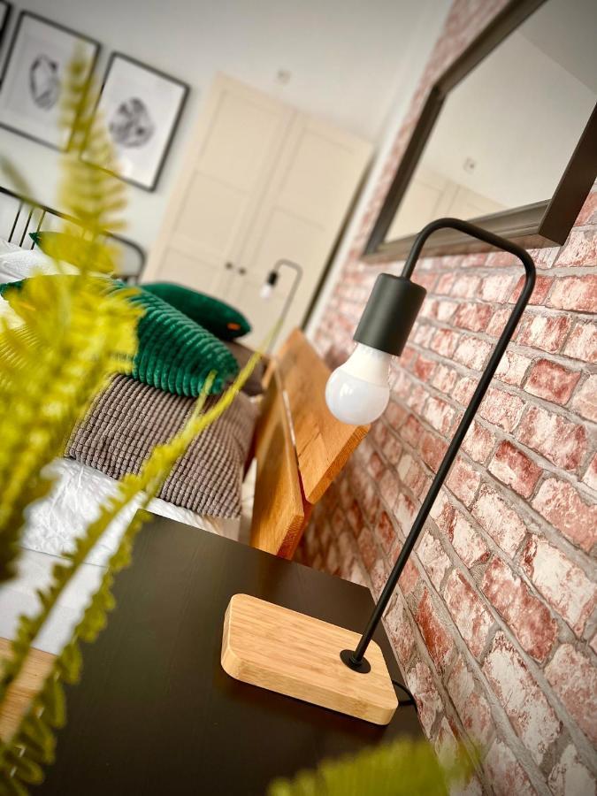 Apartmany Benesov Benesov nad Ploucnici エクステリア 写真