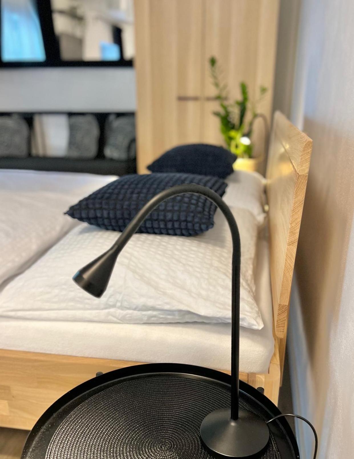 Apartmany Benesov Benesov nad Ploucnici エクステリア 写真