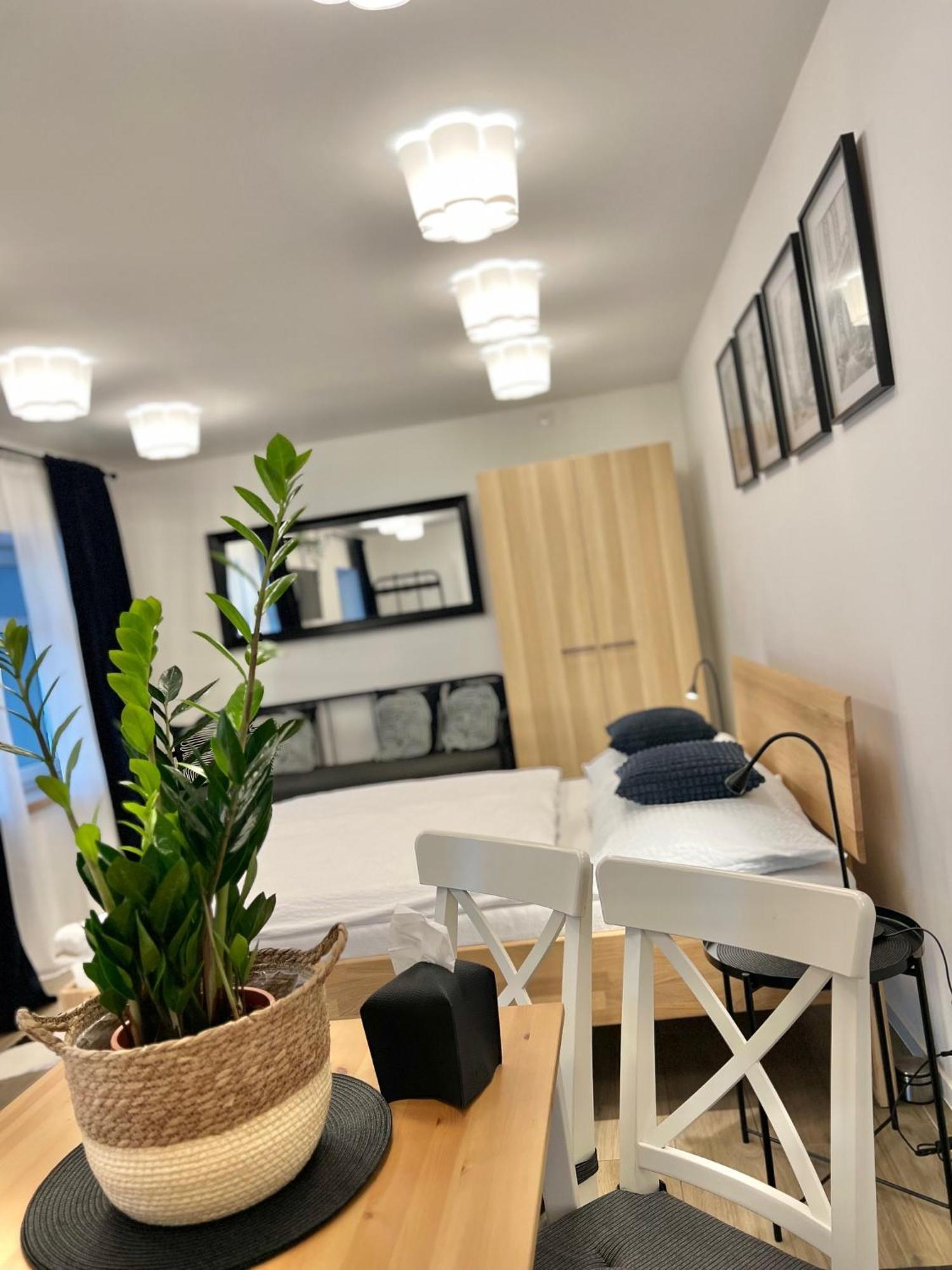 Apartmany Benesov Benesov nad Ploucnici エクステリア 写真