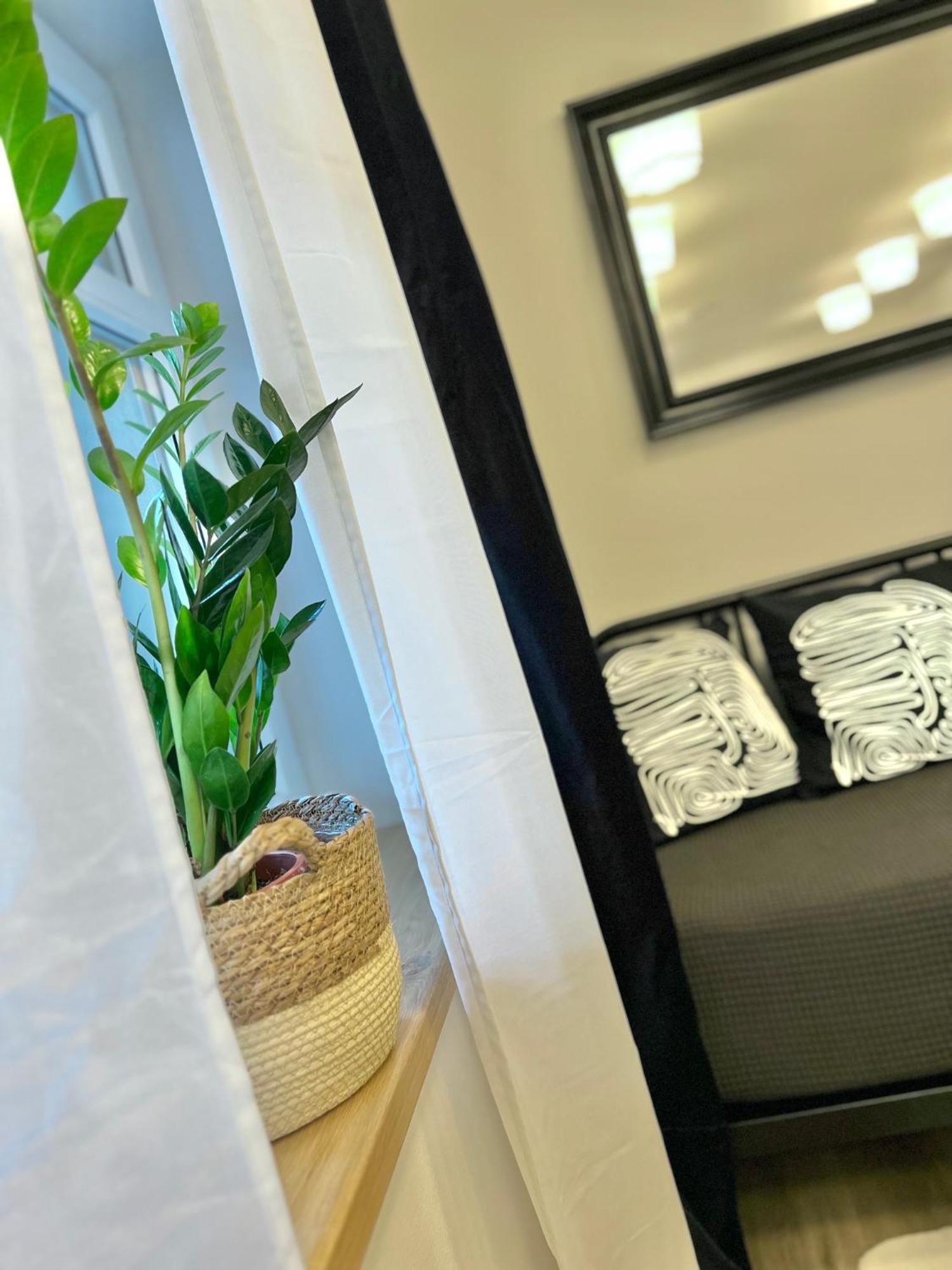 Apartmany Benesov Benesov nad Ploucnici エクステリア 写真