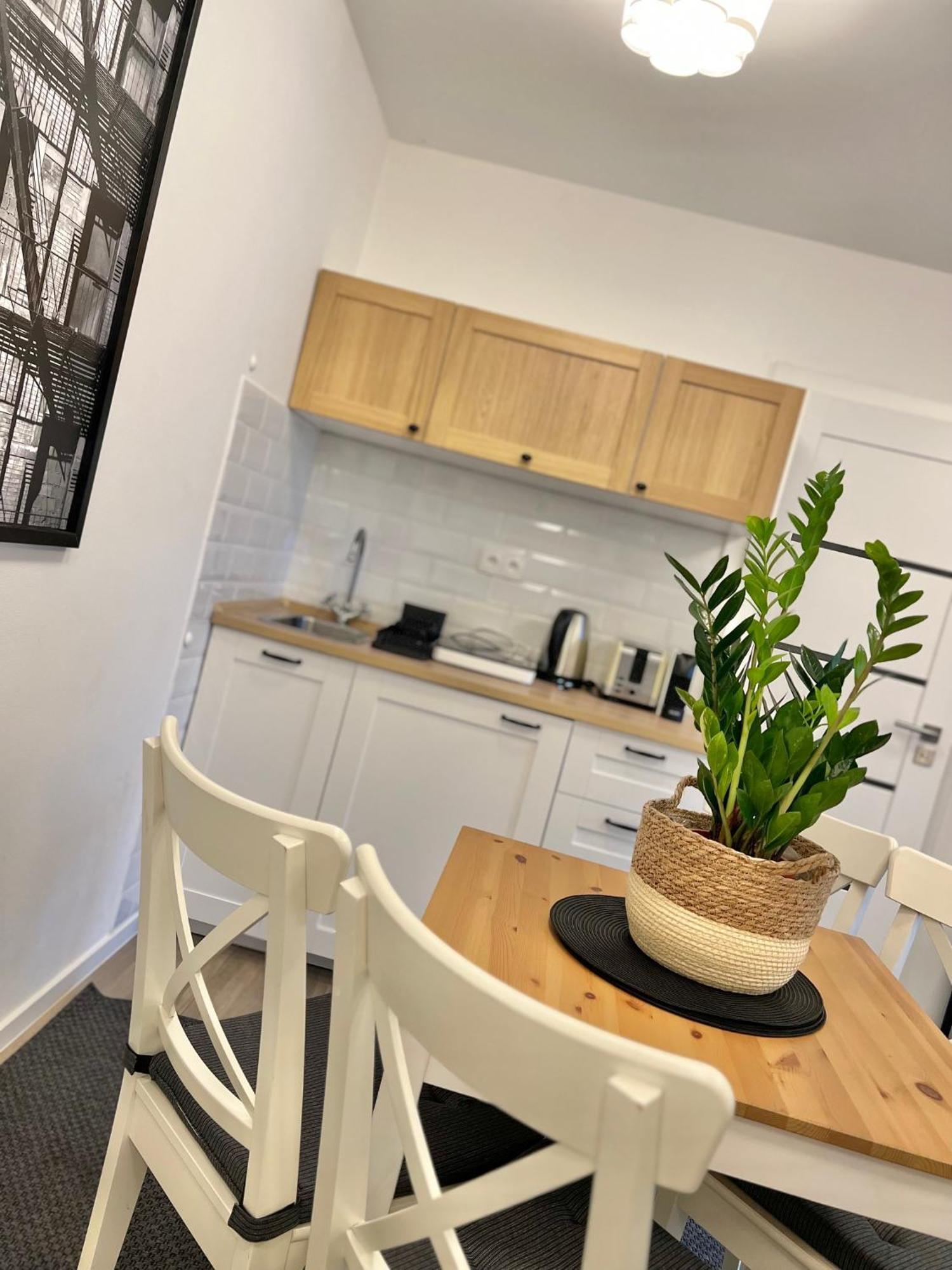 Apartmany Benesov Benesov nad Ploucnici エクステリア 写真