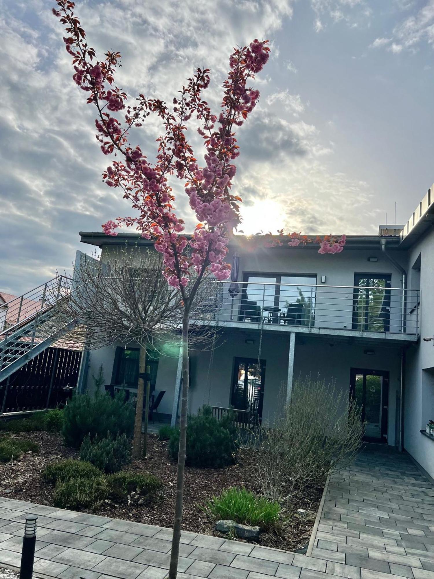 Apartmany Benesov Benesov nad Ploucnici エクステリア 写真