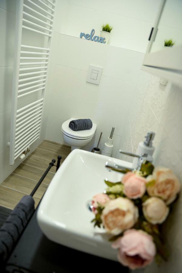Apartmany Benesov Benesov nad Ploucnici エクステリア 写真
